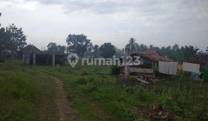 Tanah dijual luas murah negara ratu