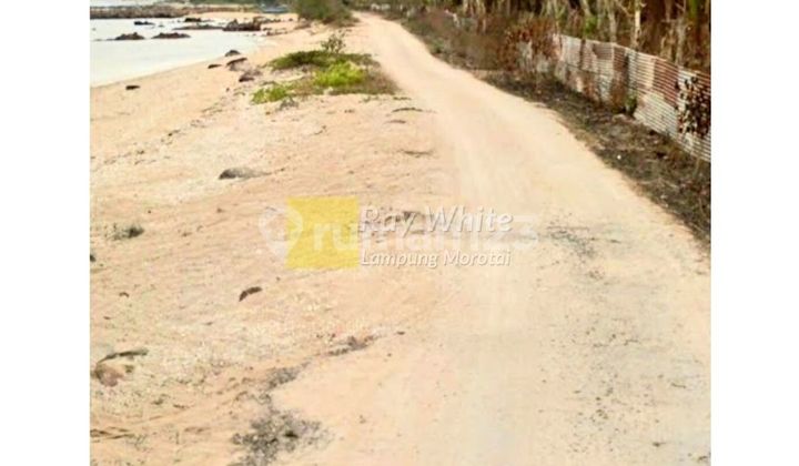 Dijual Tanah Pantai Dijual Tanah Pantai
