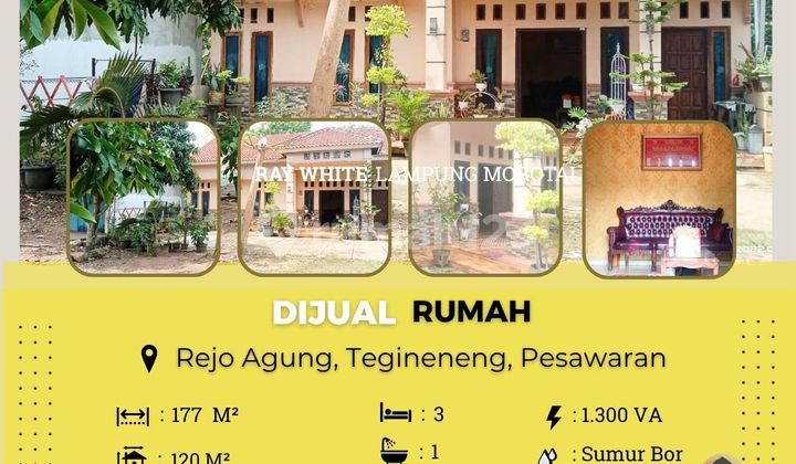 House for sale House for sale