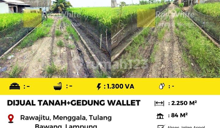 Dijual gedung sarang walet