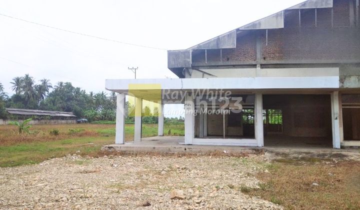 Dijual Tanah Luas Pinggir Jalan Lintas