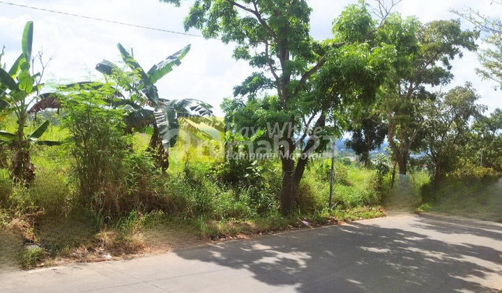 Dijual tanah dalam lingkungan perumahan Dijual tanah dalam lingkungan perumahan