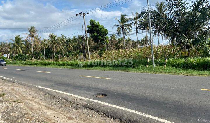 TANAH DILOKASI STRATEGIS TEPI JALAN LINTAS SUMATRA KALIANDA KOTA 1