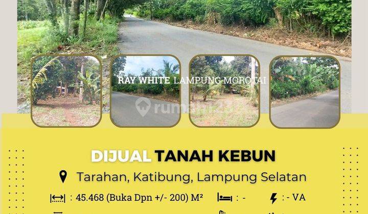 DIJUAL TANAH DI KATIBUNG, TARAHAN  1