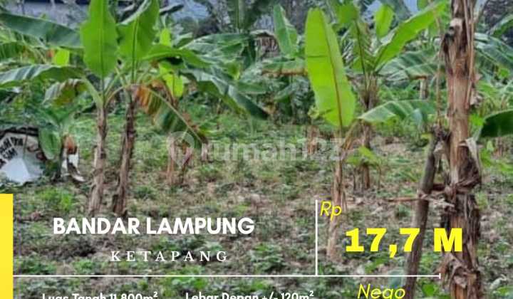 DIJUAL SEBIDANG TANAH STRATEGIS  DI KECAMATAN PANJANG KOTA BANDAR LAMPUNG
