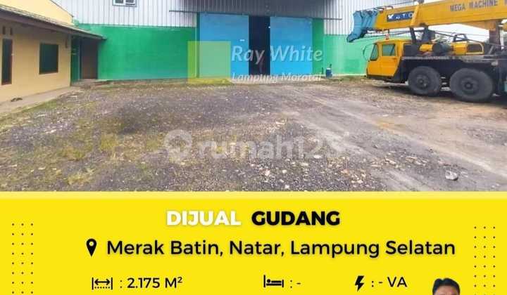 DIJUAL TANAH BONUS GUDANG DI NATAR LAMPUNG SELATAN DIJUAL TANAH BONUS GUDANG DI NATAR LAMPUNG SELATAN