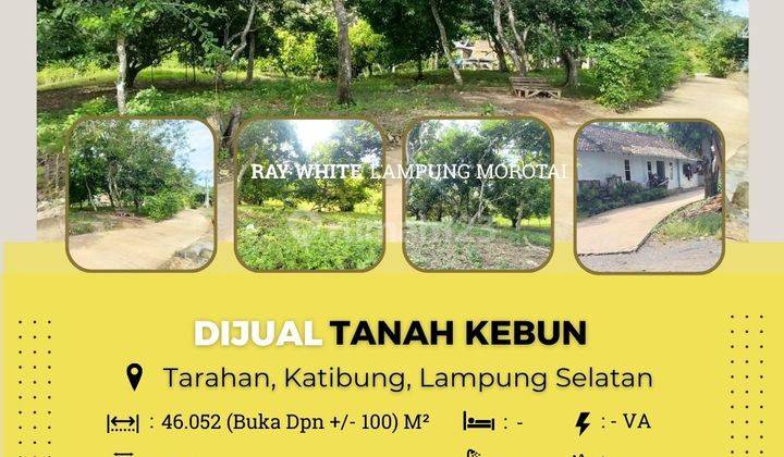 DIJUAL TANAH DI KATIBUNG, TARAHAN LAMPUNG SELATAN 1