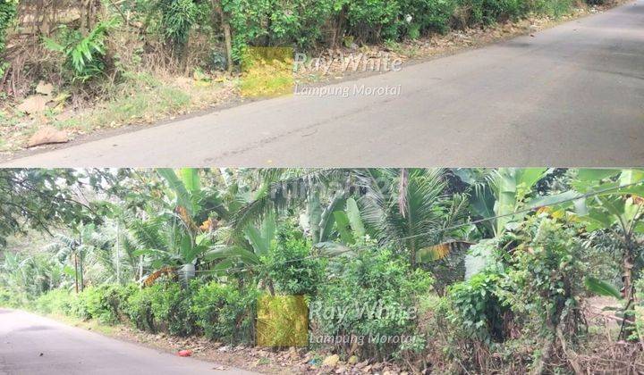 DIJUAL TANAH DI KATIBUNG, TARAHAN  2