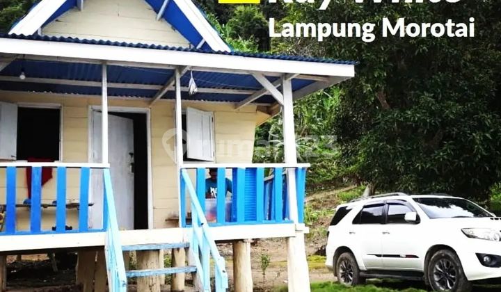 DIJUAL MURAH TANAH PANTAI DI DESA PAGAR JAYA PESAWARAN DIJUAL MURAH TANAH PANTAI DI DESA PAGAR JAYA PESAWARAN