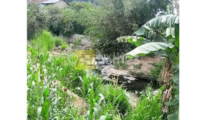 LAND FOR SALE IN TANJUNG BINTANG, SOUTH LAMPUNG