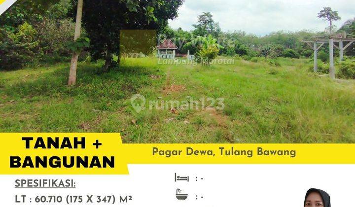 Tanah Bonus Bangunan Tulang Bawang Barat  Cepat 1