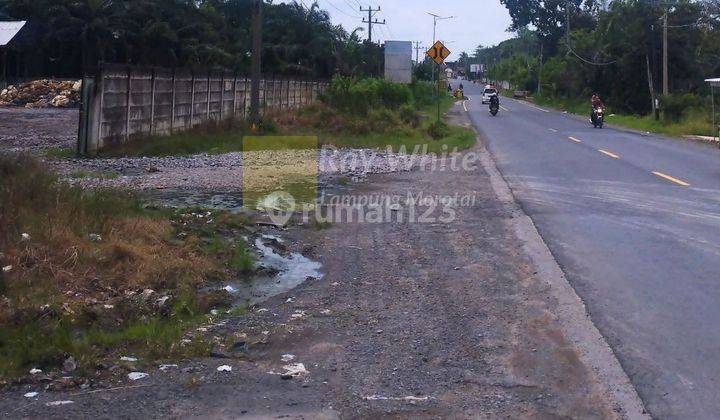 Tanah Bonus Bangunan Tulang Bawang Barat  Cepat 2