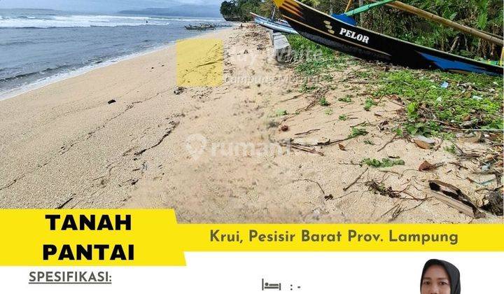 Tanah Pantai Krui Pesisir Barat 1