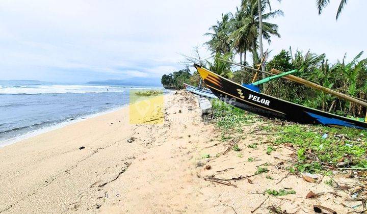 Tanah Pantai Krui Pesisir Barat 2