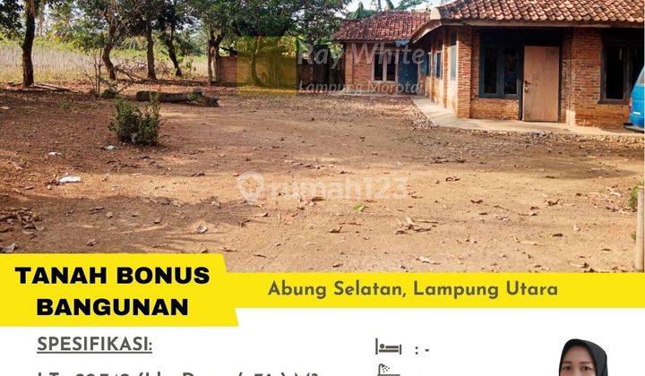 Tanah Bonus Bangunan Kalibalangan Kotabumi Dijual Cepat 1