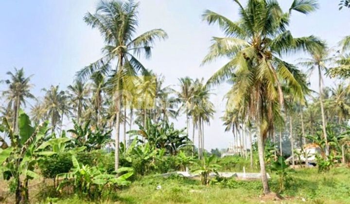 tanah 9620 m2 jati agung