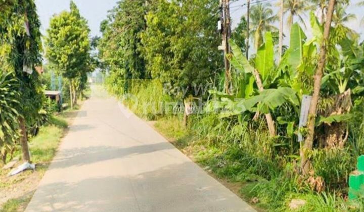 tanah 9620 m2 jati agung