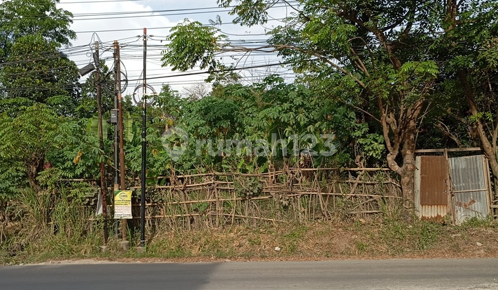 tanah 3050 m2 tirtayasa sukabumi bandar lampung