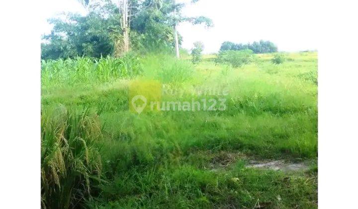 tanah 4 hektar di natar lampung selatan 2