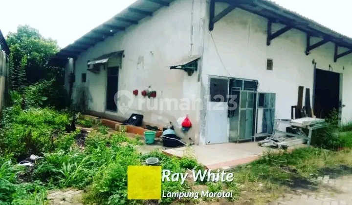 tanah 2433 m2 antasari bandar lampung tanah 2433 m2 antasari bandar lampung