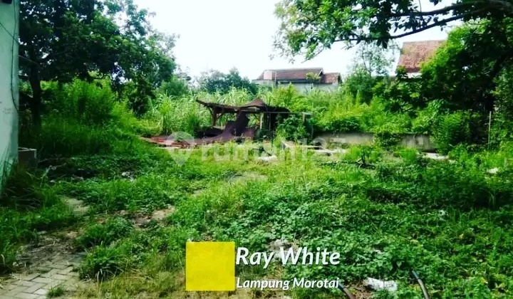 tanah 2433 m2 antasari bandar lampung tanah 2433 m2 antasari bandar lampung