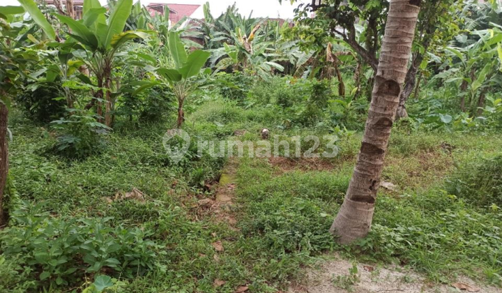 dijual tanah 4500 m2 unila rajabasa bandar lampung