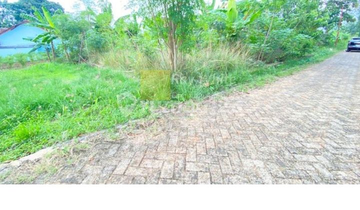 Tanah 580 M2 Hajimena Dekat Unila Tanah 580 M2 Hajimena Dekat Unila