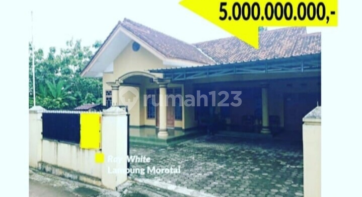 rumah LT 995 m2 rajabasa unila 1