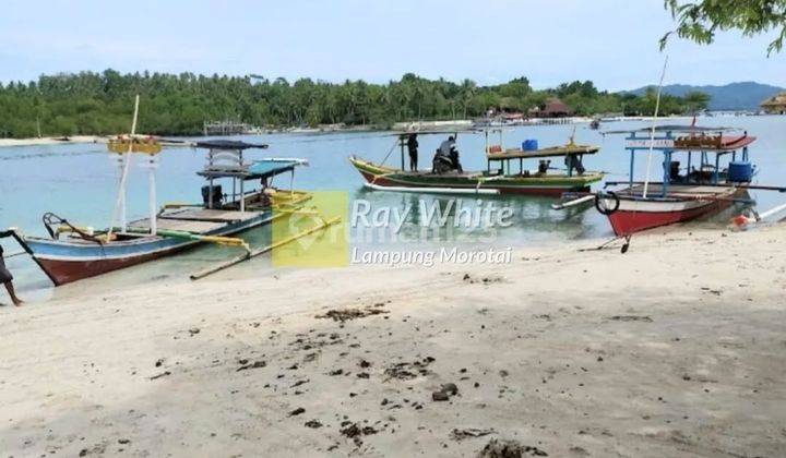 Dijuak Pantai Luas 2 hektar di Padang Cermin 2