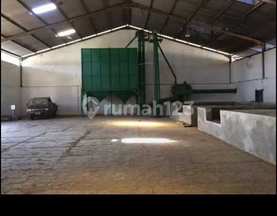 Dijual Pabrik Pengolahan dan Lahan Tanam dengan Luas 11 Hektar di Tegineneng Dijual Pabrik Pengolahan dan Lahan Tanam dengan Luas 11 Hektar di Tegineneng