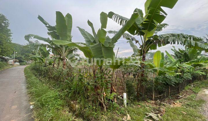 Dijual Tanah Luas 6400 di Way Laga