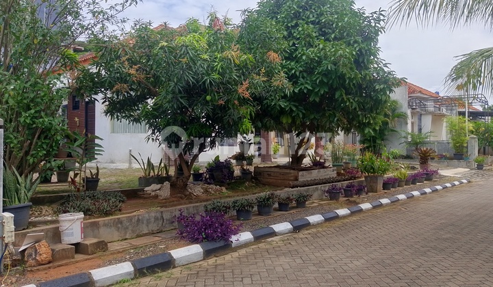  Rumah MURAH Luas 471 di Graha Madu Pesona, Tanjung Senang 2