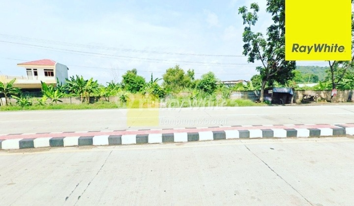 Dijual Tanah Luas 11,8 hektar di Way Gubak, Panjang, Bandar Lampung