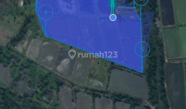 Dijual Tanah Luas 5 hektar bekas tambak di Kalianda 2
