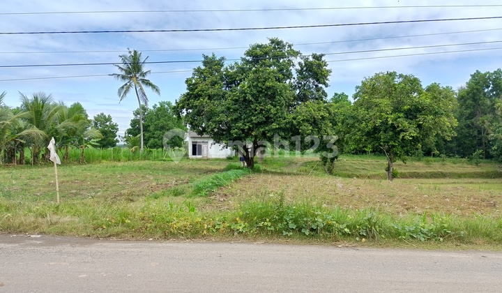 Dijual Tanah Luas 5138m² di Muara Putih, Natar