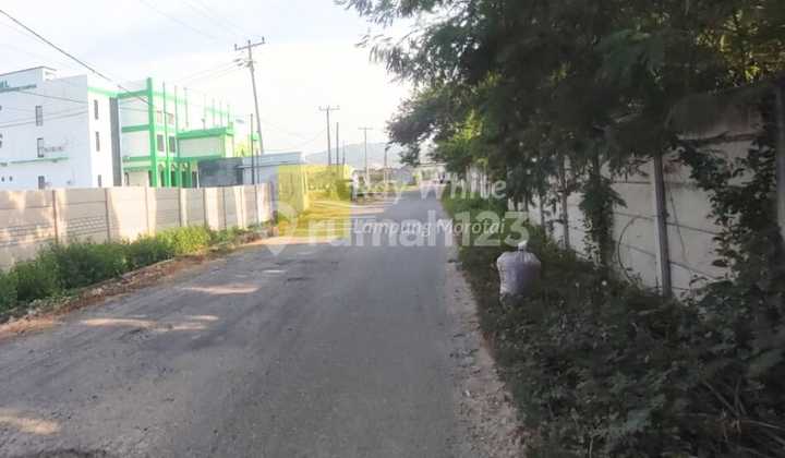 Dijual Tanah Luas 8000 di dekat Kampus UIN, Sukarame Bandar Lampung