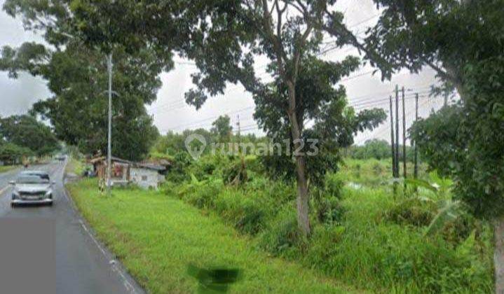 Dijual Tanah Luas 5 hektar bekas tambak di Kalianda 1