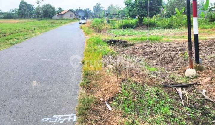 Dijual Tanah Luas 1,8 hektar di tanjung sari Natar