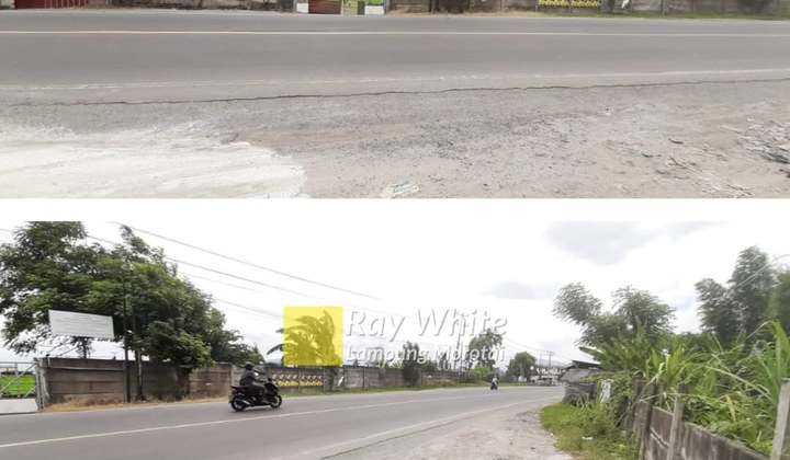 Tanah Murah Luas 3 Hektar Lokasi Panjang, Bandar Lampung Tanah Murah Luas 3 Hektar Lokasi Panjang, Bandar Lampung