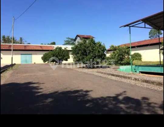 Dijual Pabrik Pengolahan dan Lahan Tanam dengan Luas 11 Hektar di Tegineneng Dijual Pabrik Pengolahan dan Lahan Tanam dengan Luas 11 Hektar di Tegineneng