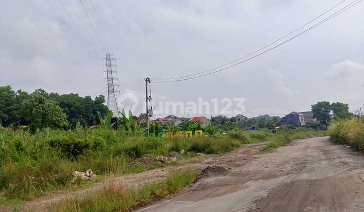 Dijual Tanah murah luas 1,5 hektar di kemiling Dijual Tanah murah luas 1,5 hektar di kemiling