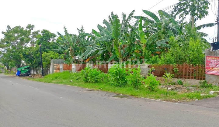 Tanah Murah Luas 445 Harga Dibawah Pasaran Tanah Murah Luas 445 Harga Dibawah Pasaran