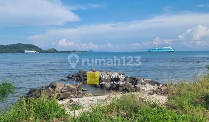 Tanah tambak murah dekat pantai bakauheni, lampung selatan
