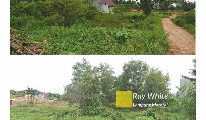 Land for Sale, 2 hectares in Rajabasa Raya