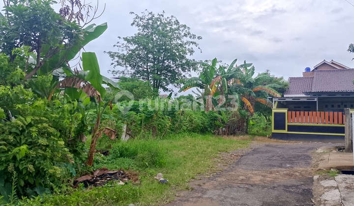 Dijual tanah luas 4500 di Bumi Manti, Kedaton Dijual tanah luas 4500 di Bumi Manti, Kedaton