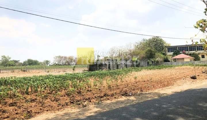 Tanahmurah 1,6 Hktar di Gunung Sugih,Lampung Tengah