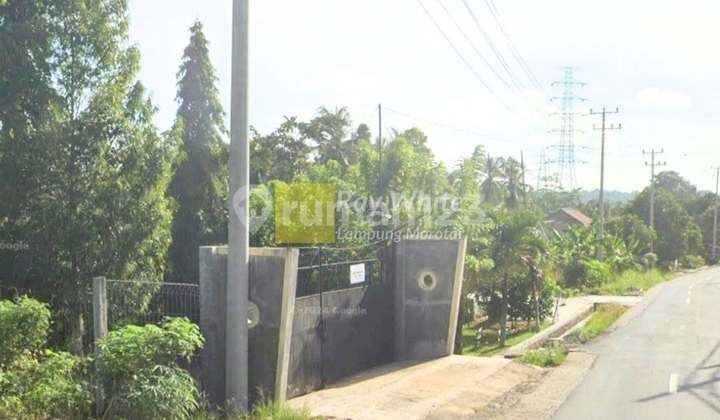 Tanah murah luas 4,7 hektar di Sidomulyo, Lampung Selatan