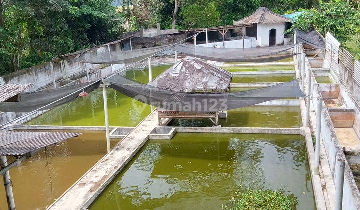 Tanah Kolam ikan siap pakai 2