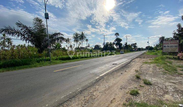 dijual tanah murah pinggir jalan 2