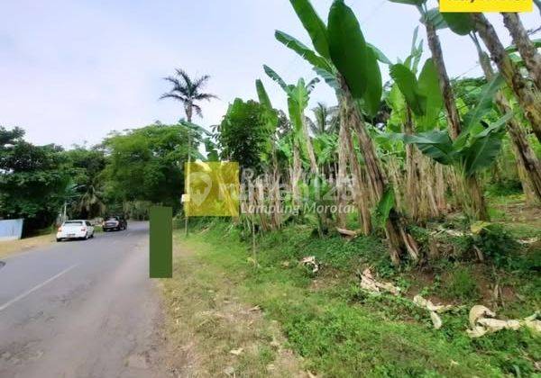 dijual tanah kosong teluk betung 2